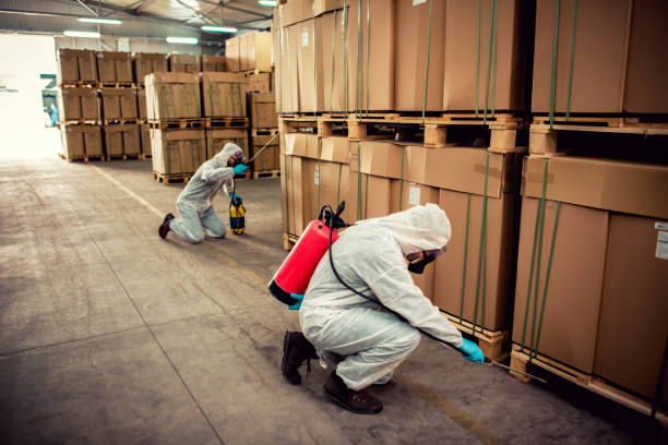 Best Local Pest Control Services  in San Jacinto, CA