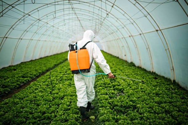Trusted San Jacinto, CA Pest Control Experts