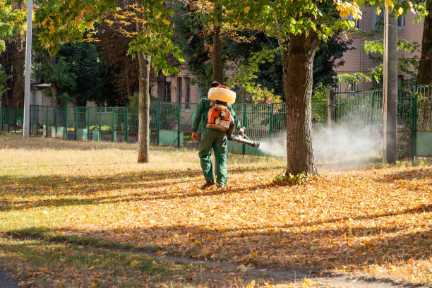 Best Pest Prevention Services  in San Jacinto, CA